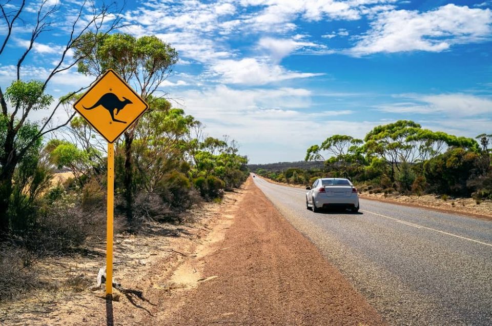 Driving in Australia