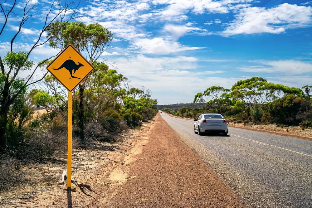 Driving in Australia? Here