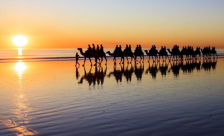 Camel rides on Cable Beach, Broome