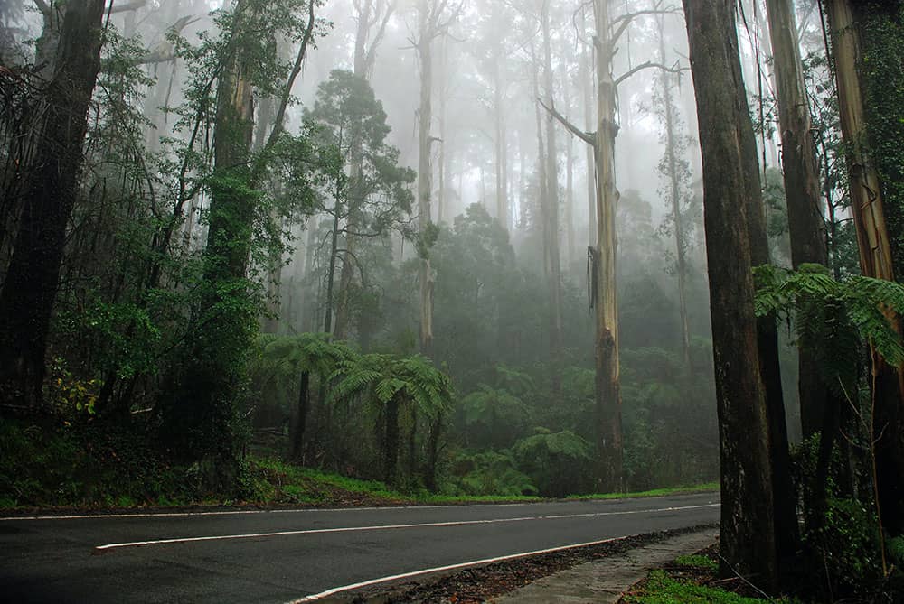 caves road margaret river