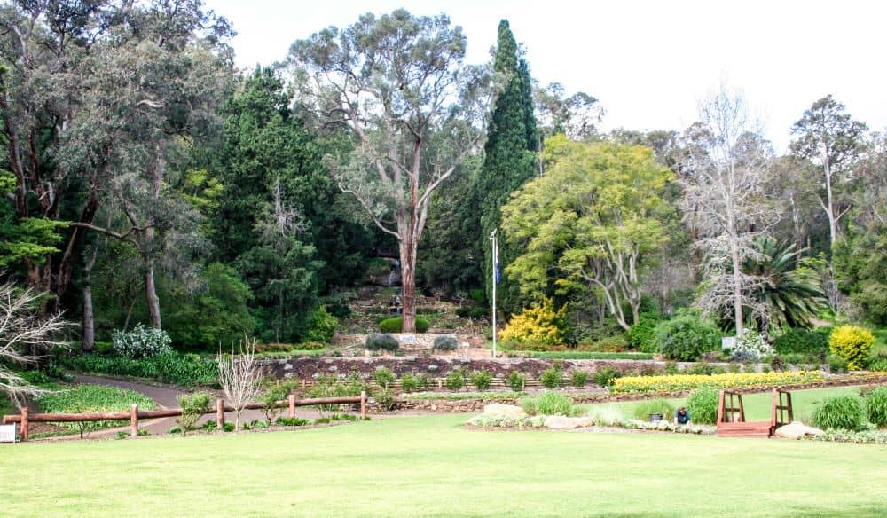 Araluen Botanic Park is home to many species of Australian and international flora.