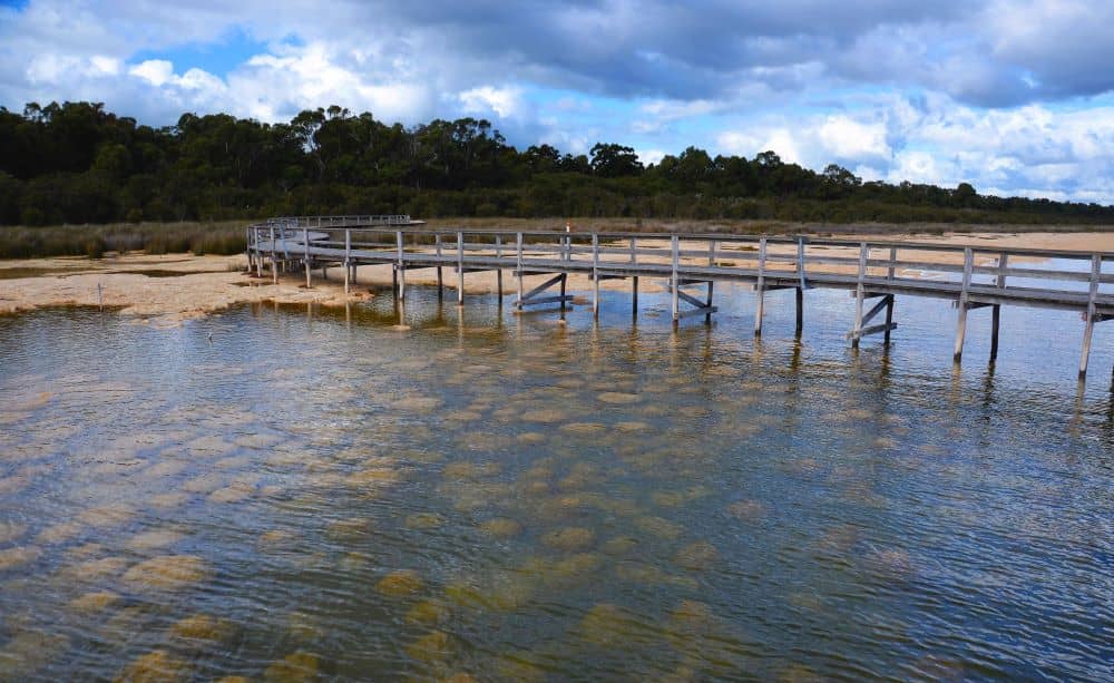 The Lake Clifton thrombolites are approximately 2,000 years old.