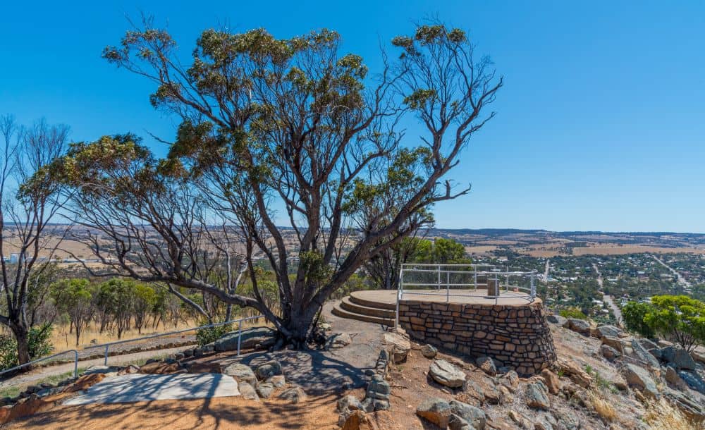 Mount Brown Lookout offers a panoramic view of York.