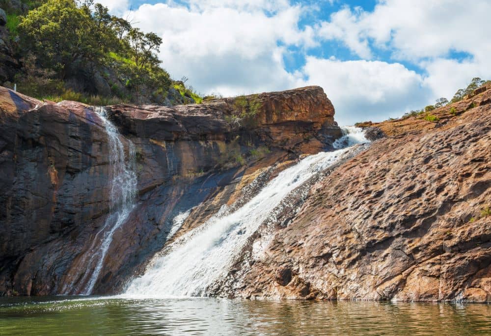 You can enjoy a picnic, swim, take a walk on one of the trails and enjoy the local wildlife at Serpentine National Park.