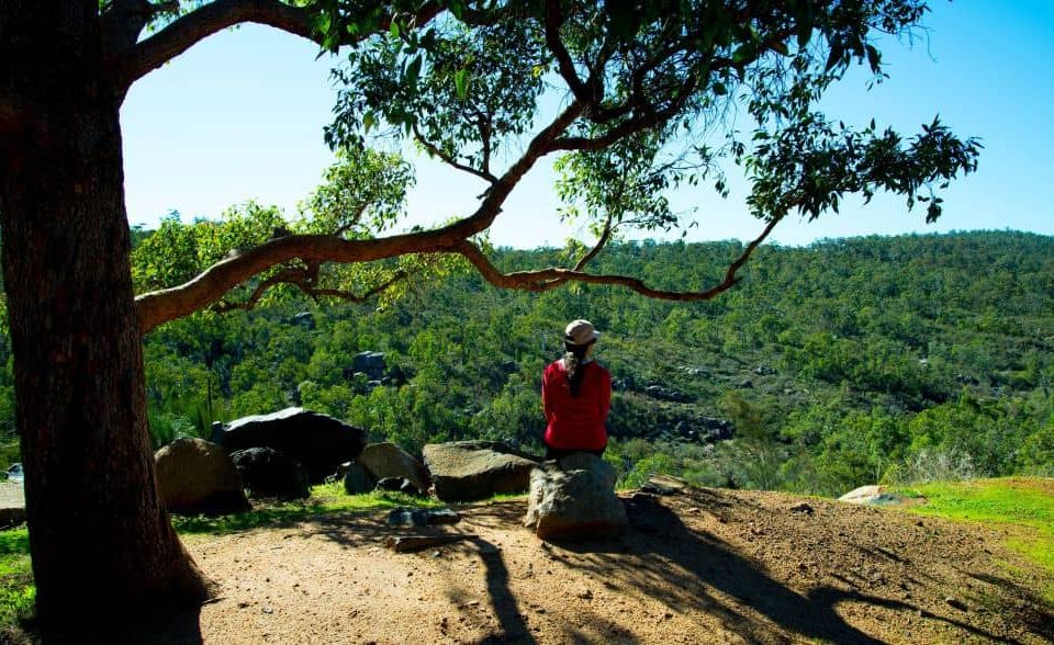 View from John Forrest National Park.