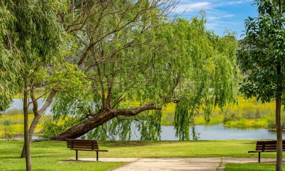 Yanchep National Park is known for its caves, koalas, kangaroos