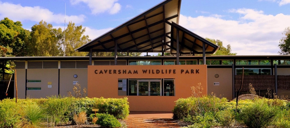 Caversham wildlife park is located inside Whiteman Park.