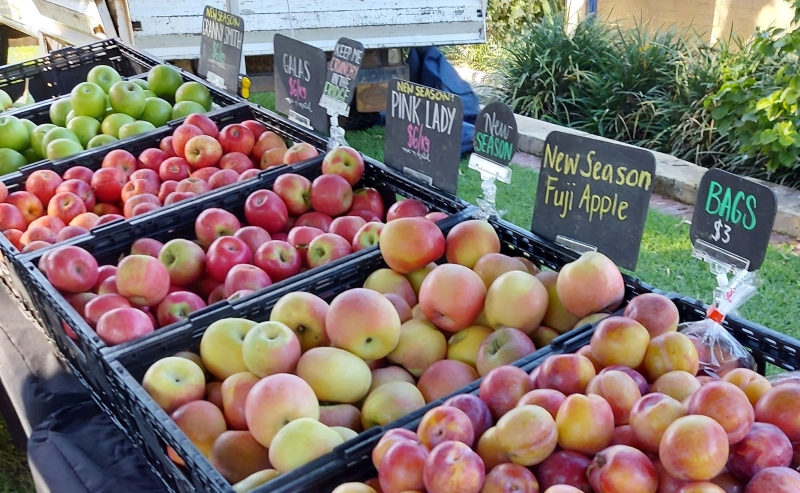 Fruits for sale at Poynter Farmers' Market