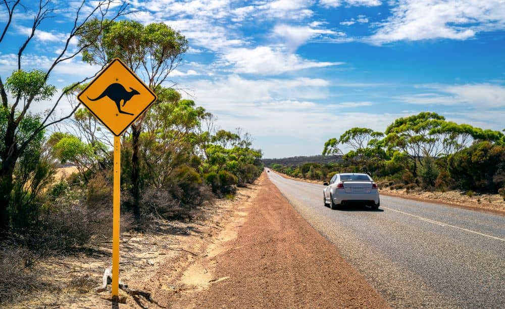 The outback spots in Western Australia are among the best four-wheel drive odysseys in the country.